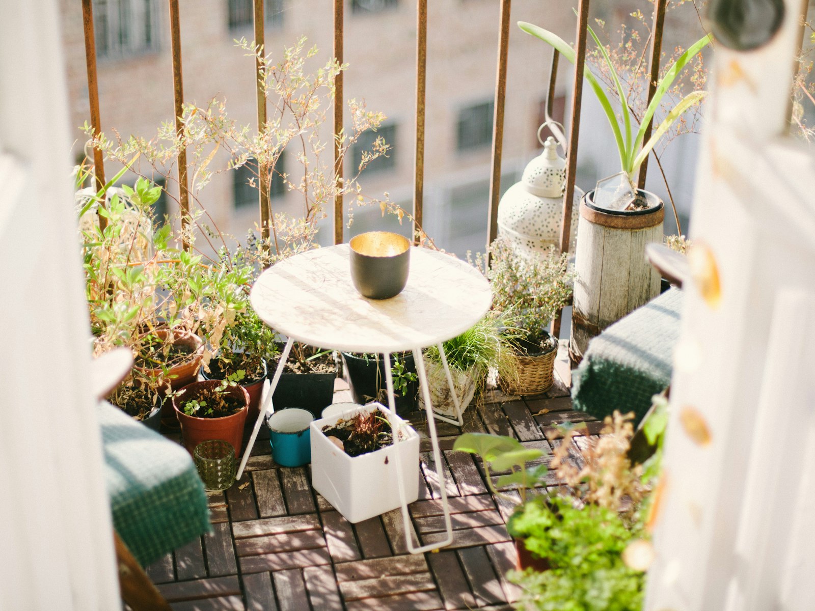 Garden on terrace during daytime