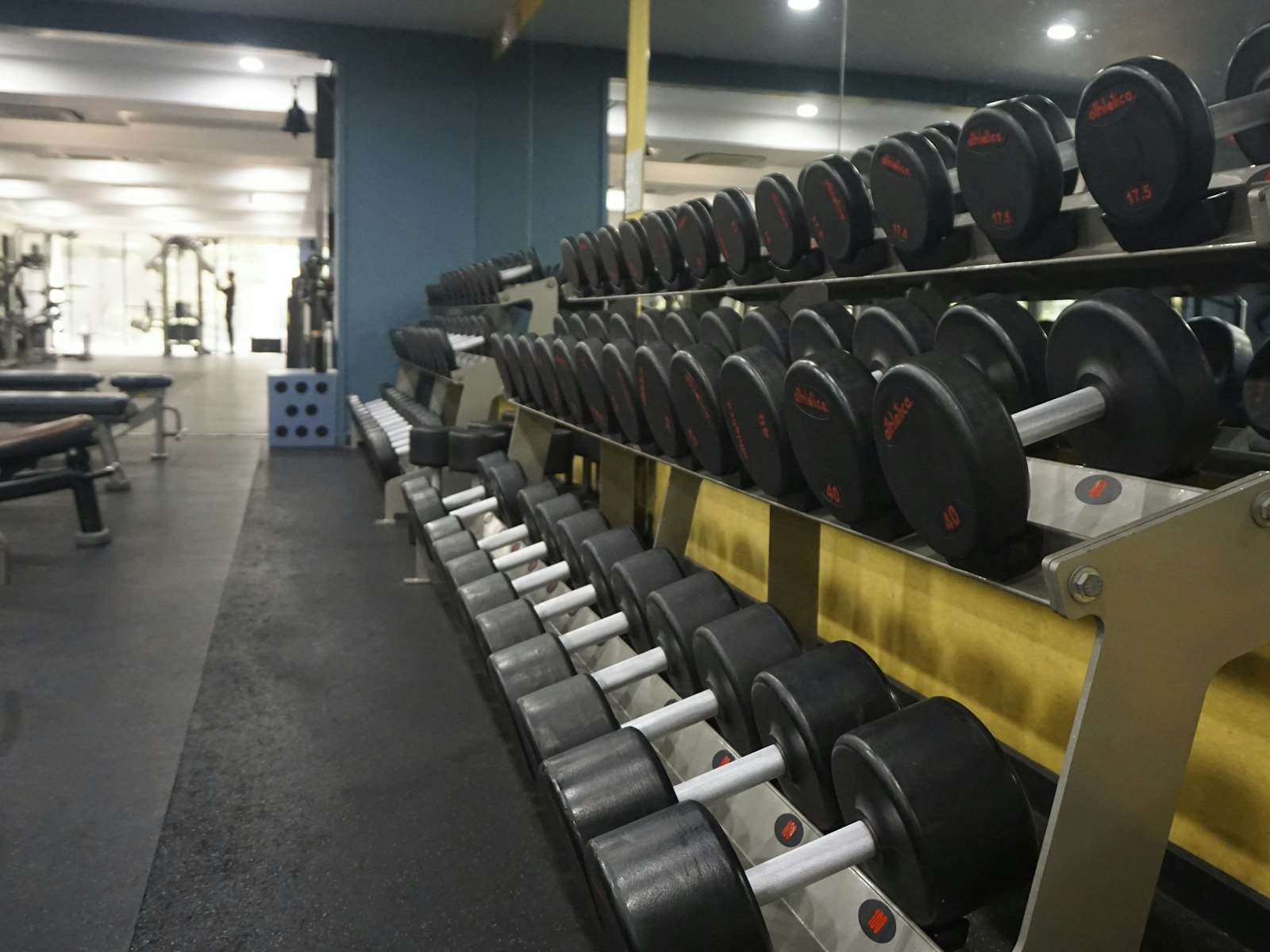 Dumbbells neatly arranged on a rack
