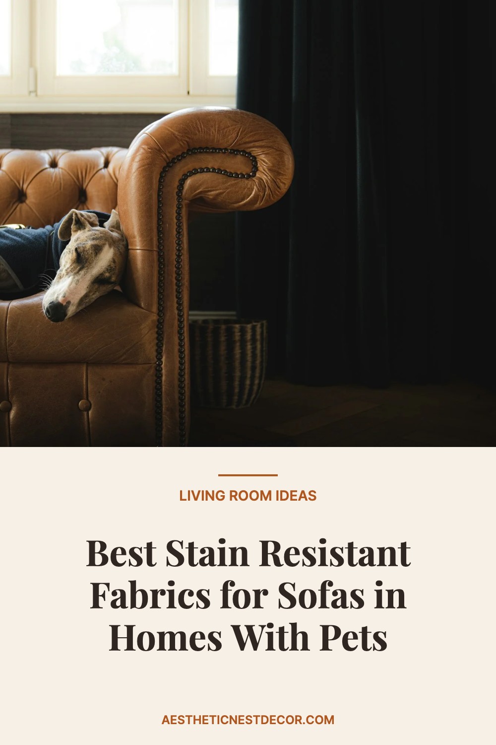 Best Stain Resistant Fabrics for Sofas in Homes With Pets