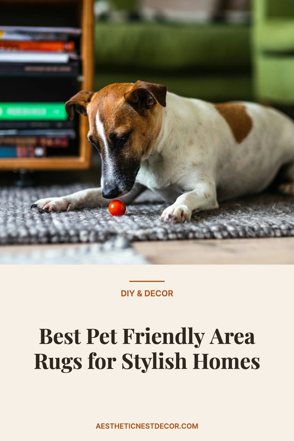 Best Pet Friendly Area Rugs for Stylish Homes