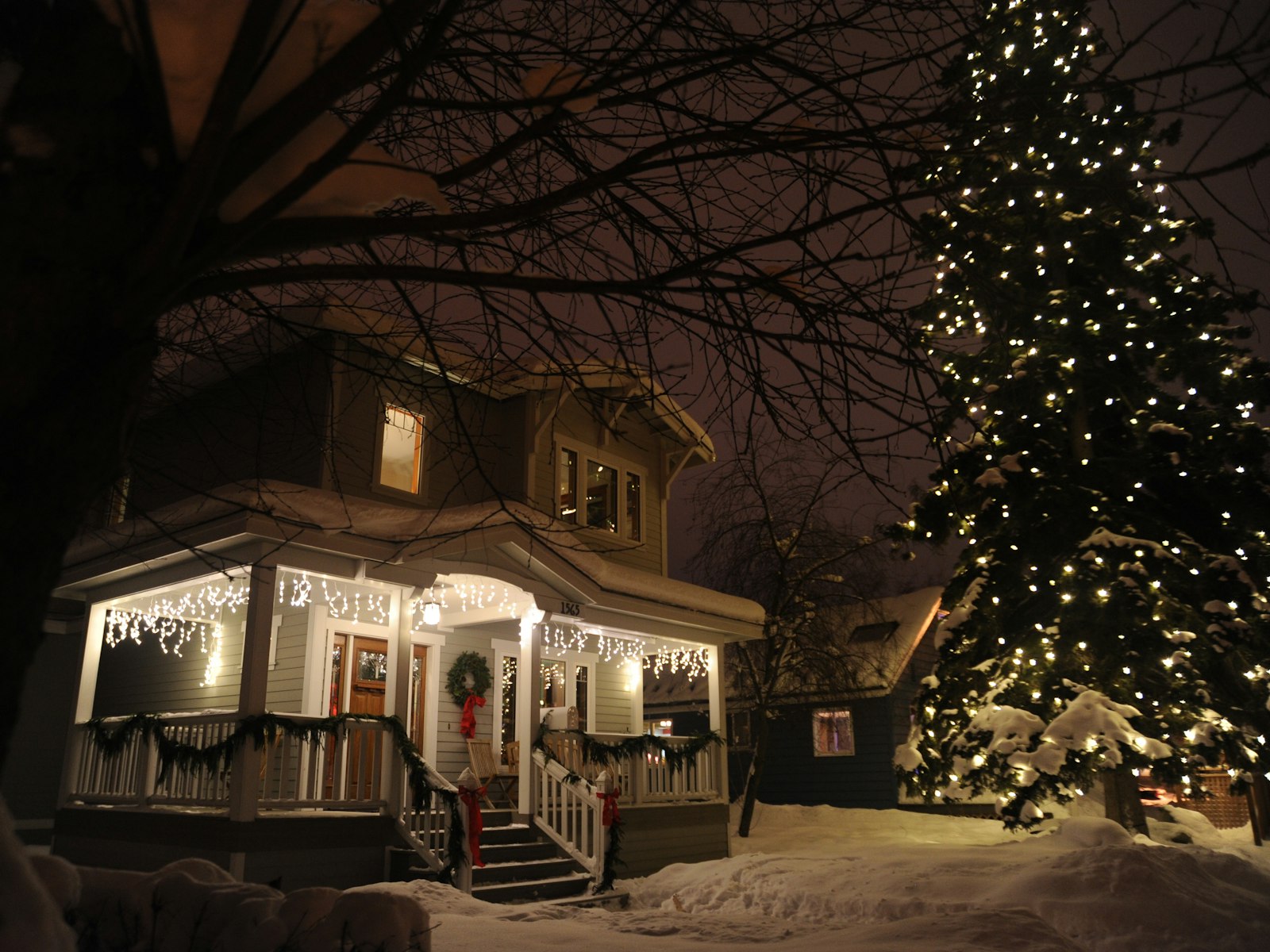Pine tree cover by string lights beside house – Christmas outdoor decor idea