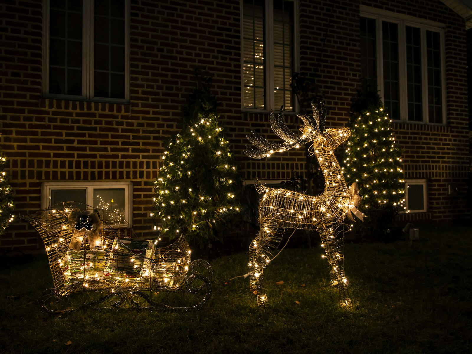 A group of trees with lights – Christmas outdoor decor idea
