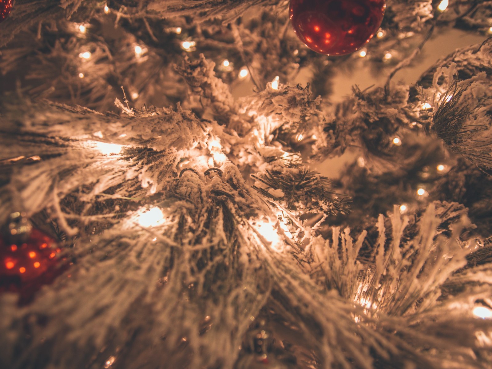 Close-up of warm white string lights wrapped deep into Christmas tree branches