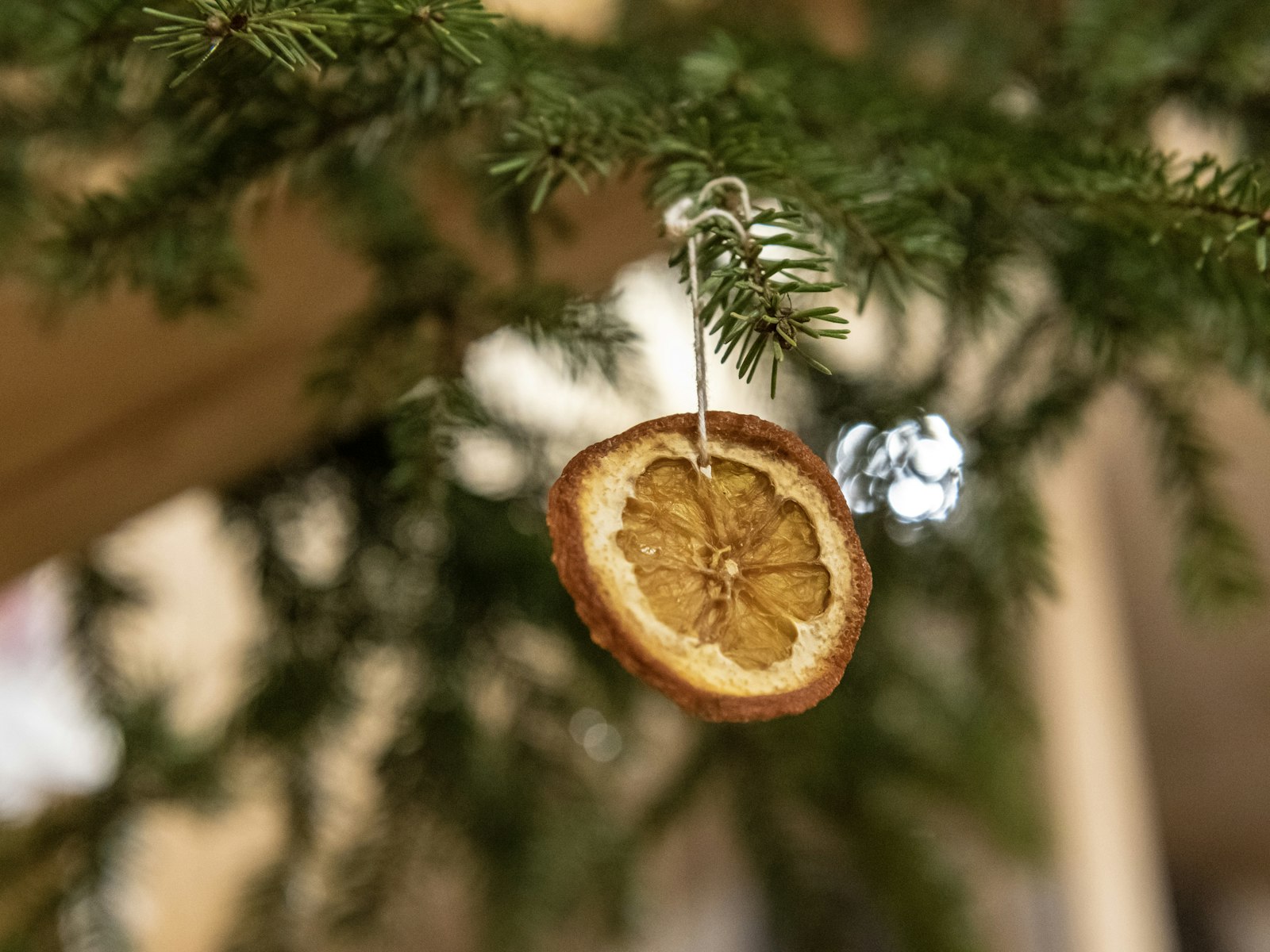 Single dried orange slice ornament hanging on a Christmas tree branch