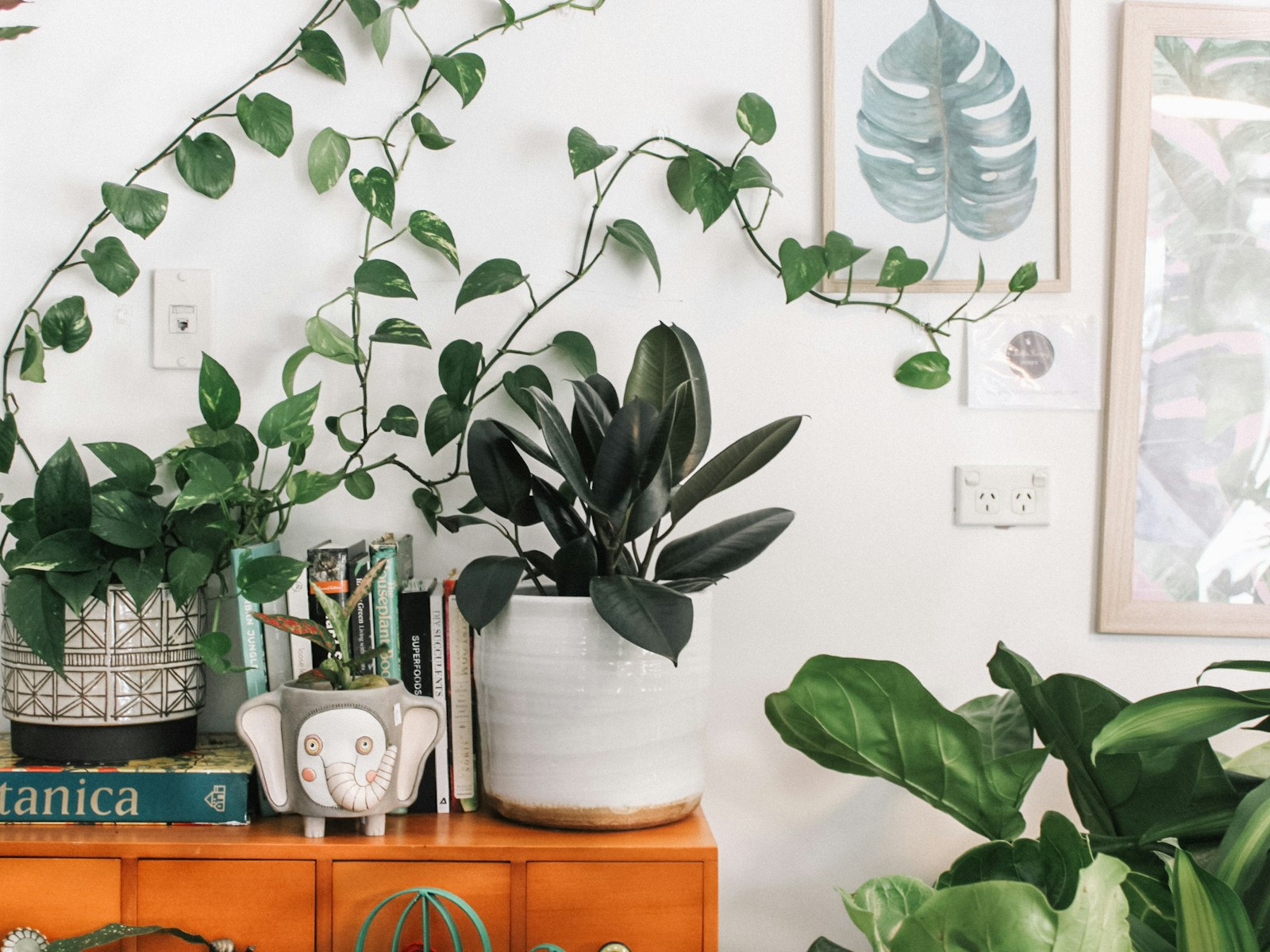 Trailing plants and botanical prints on a styled shelf