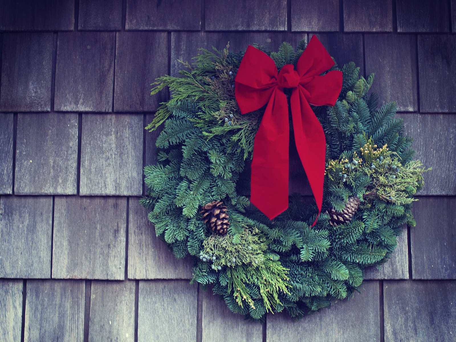 Fresh Christmas wreath with a large red velvet bow on a shingle wall